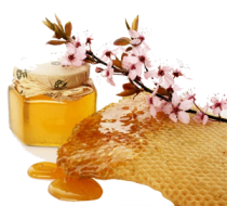Лечебные свойства меда